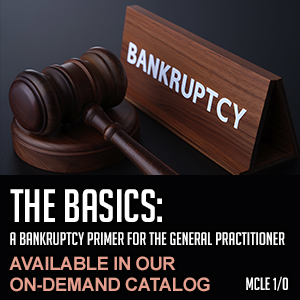 300x300 Basic Bankruptcy