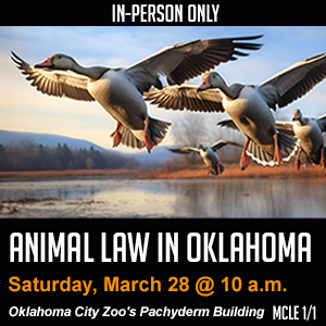 300x300 Animal Law Copy